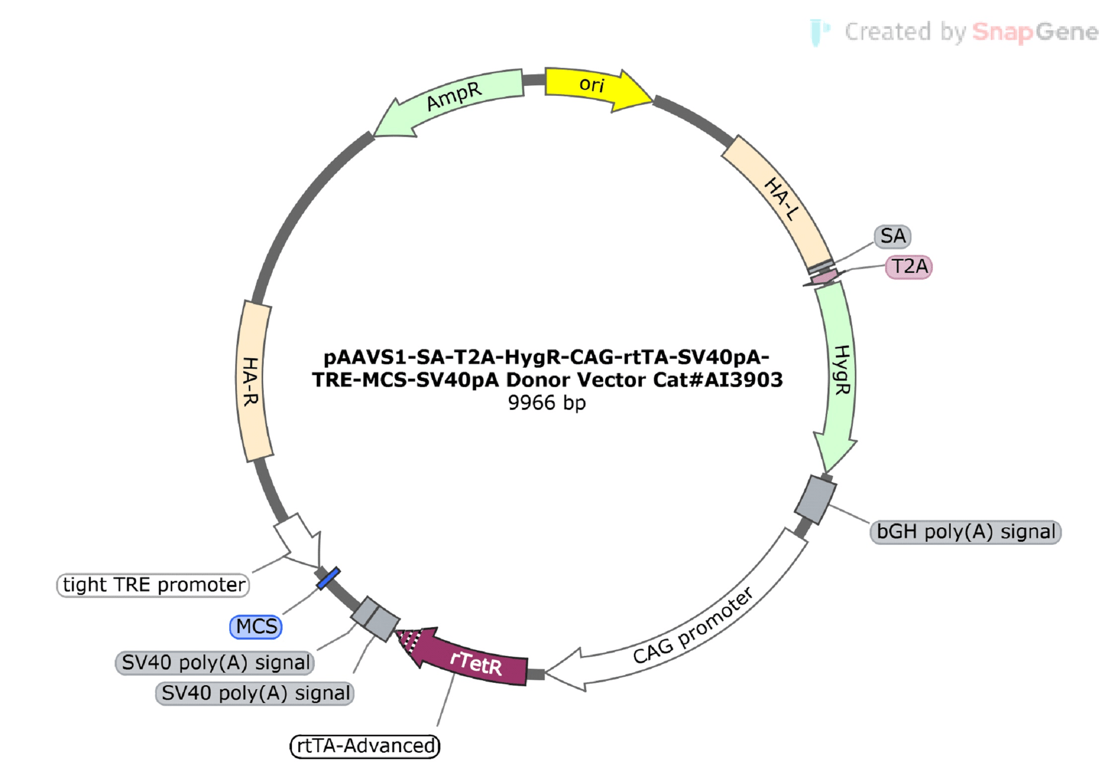 Selection of Edited Cells