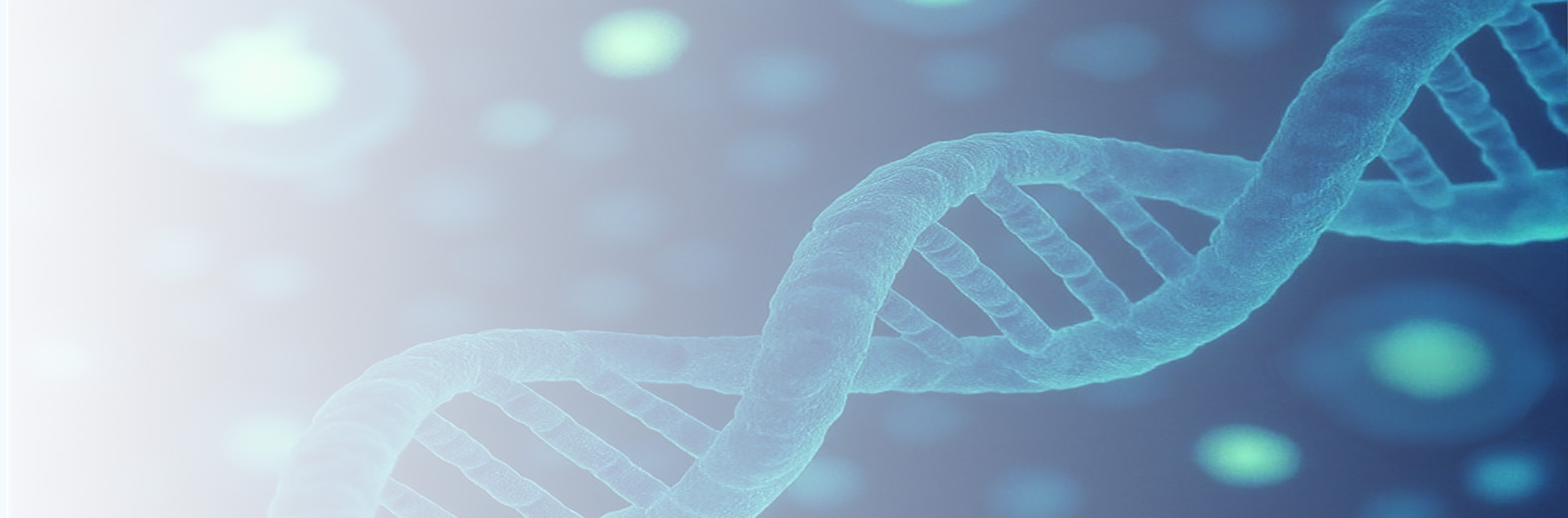  HiBiT®, HaloTag®, NanoLuc®, and NanoBiT® technologies:<br>Now Available for Your Custom Cell Models  