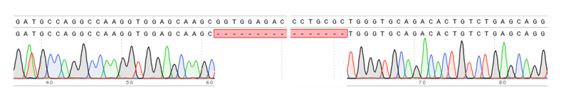 Cas9 Knockout Sequence